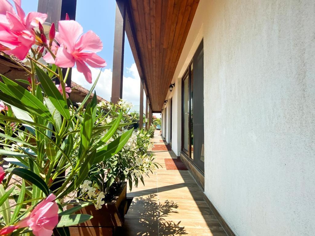 Casa Mura دووا مايْ المظهر الخارجي الصورة